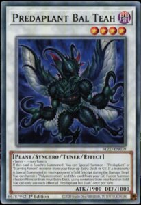 Predaplant Bal Teah BLZD-EN039 Common