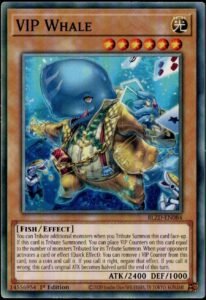 VIP Whale BLZD-EN084 Common